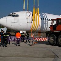 -web sling -web sling